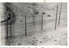 Логор смрти НДХ, Слана на острву Паг, љета 1941.